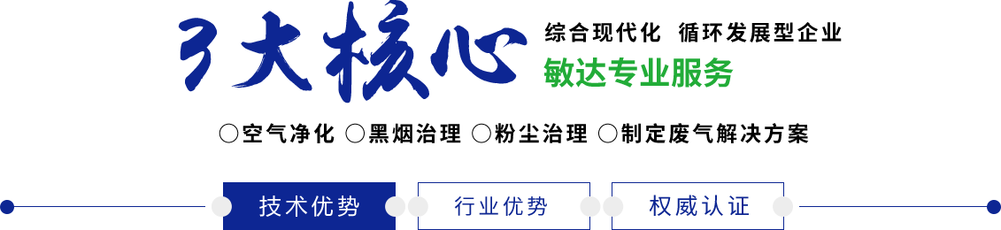 。透板逼视频敏达环保科技（嘉兴）有限公司